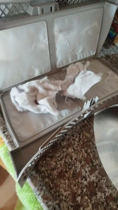 Erkan Yılmazcan ürün değerlendirmesi