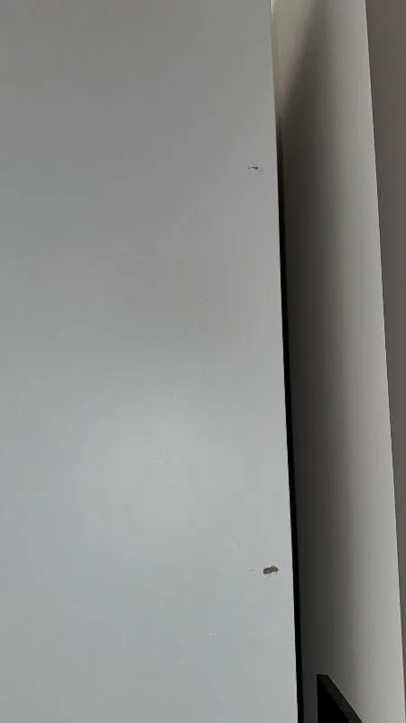 Sevgi Bilen ürün değerlendirmesi