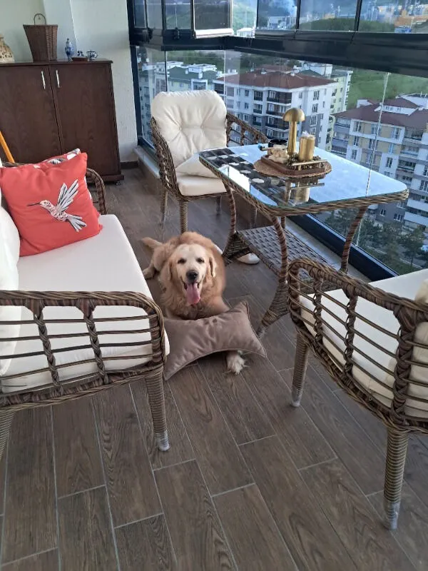 Kartepe 2 1 1 Rattan Bahçe Balkon Takımı,kahve Örgü/krem Kumaş
